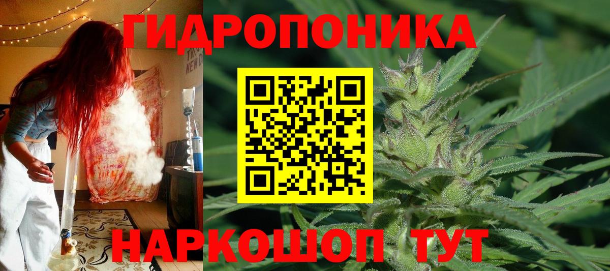 Бошки марихуана VHQ  Конопля Ganja  Кингисепп  Вход с VPN  Канабис семена 